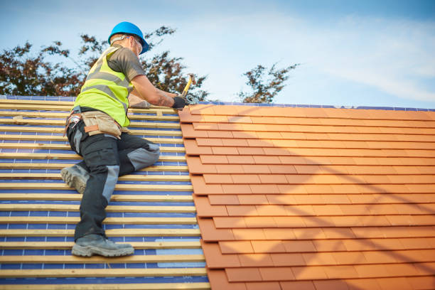 Best Solar Panel Roofing Installation  in Cusseta, GA